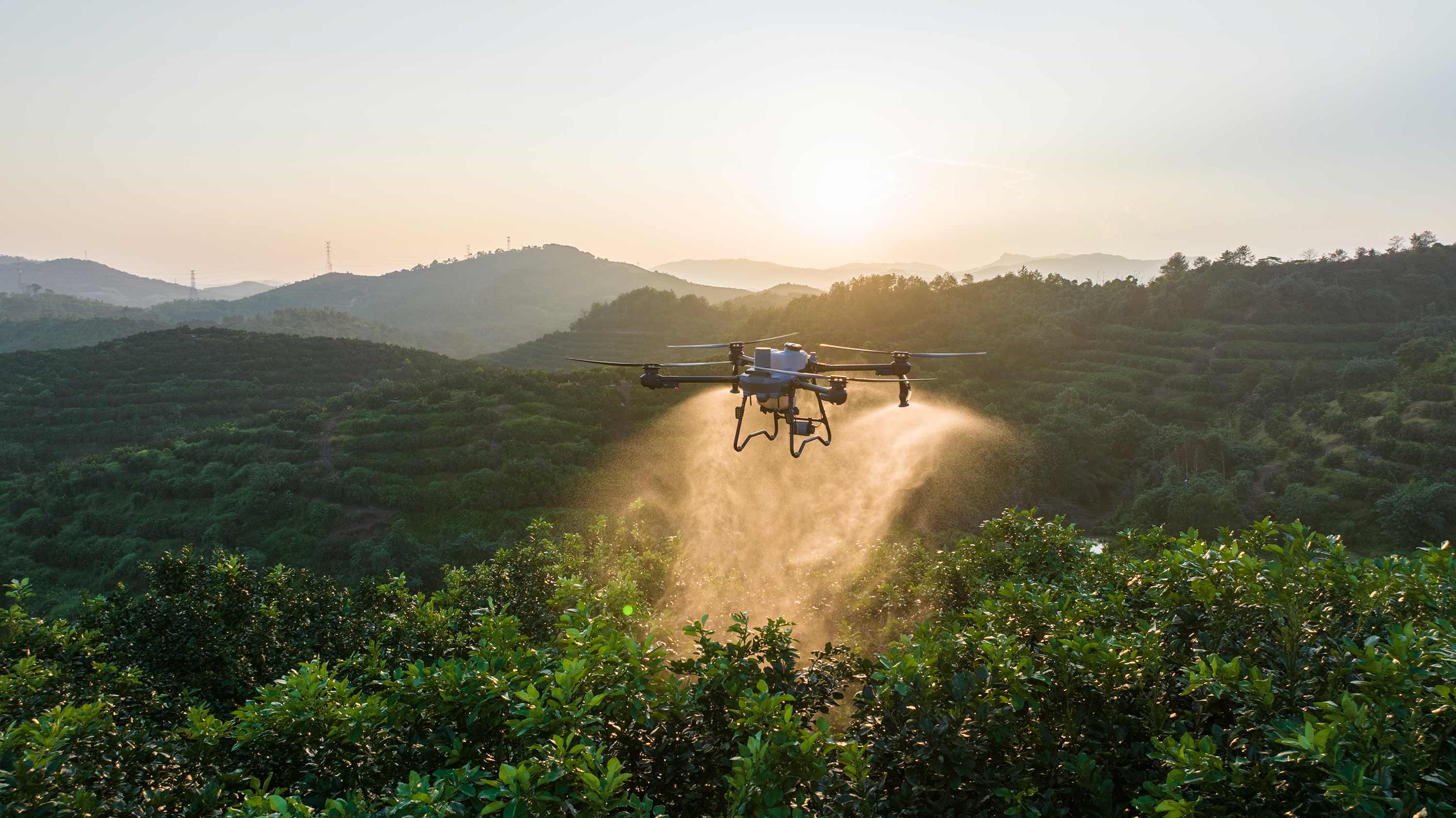 AGRAS T25P - Galería 2