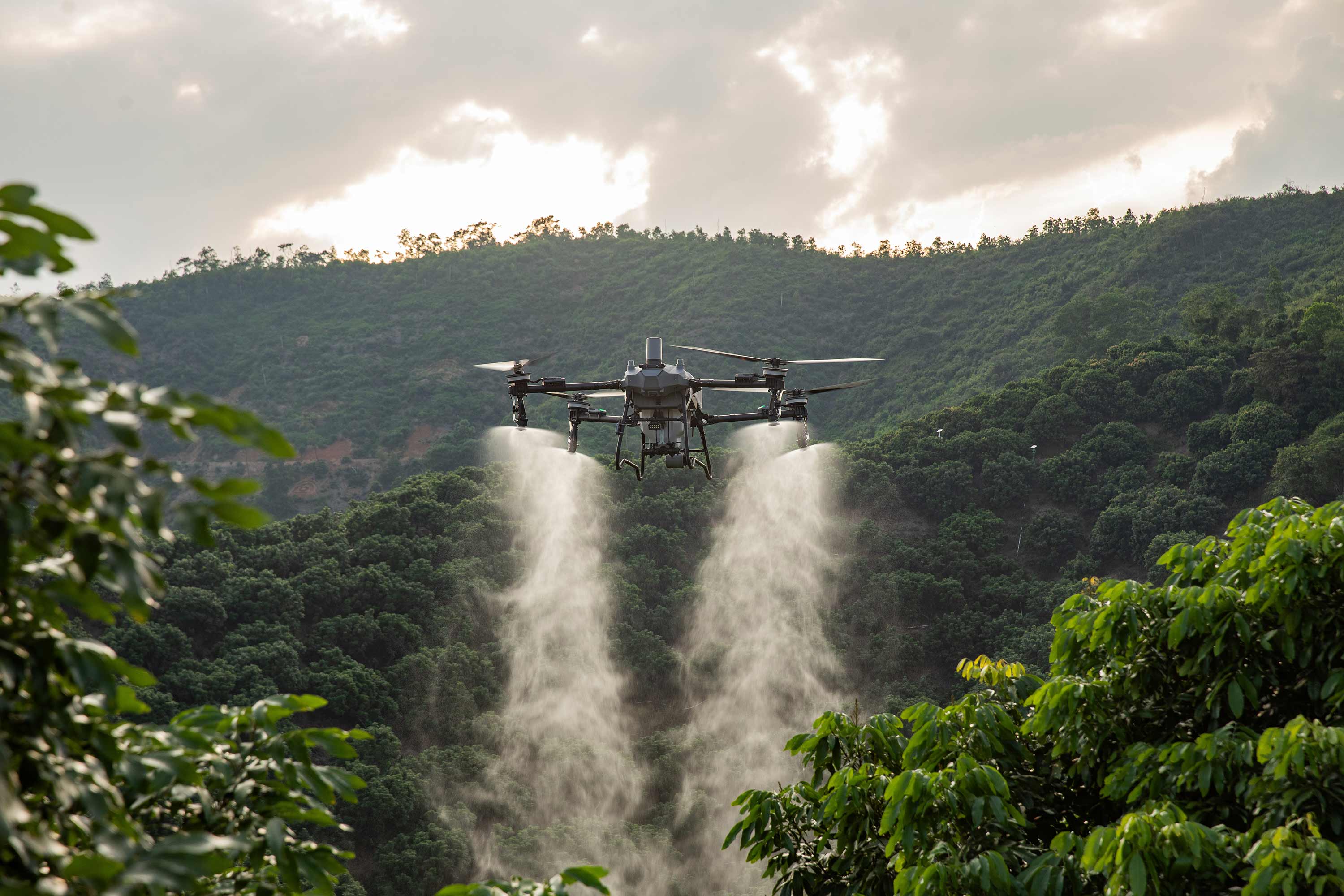 AGRAS T70P - Galería 1